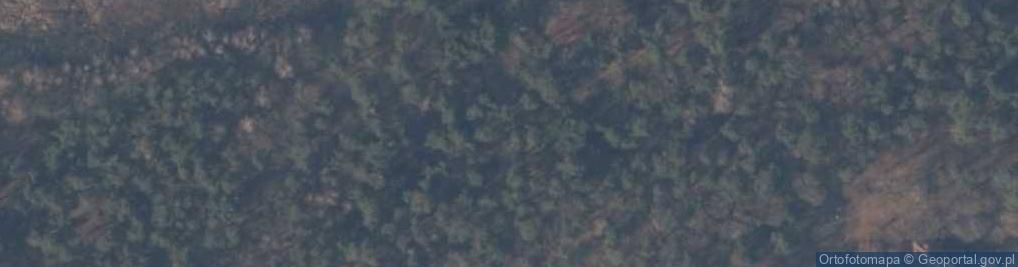 Zdjęcie satelitarne Stanica harcerska ZHR Podgrodzie