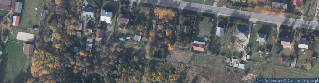 Zdjęcie satelitarne Szyszka