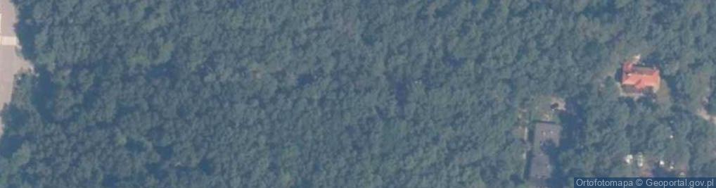 Zdjęcie satelitarne Willa Gwiazda Morza
