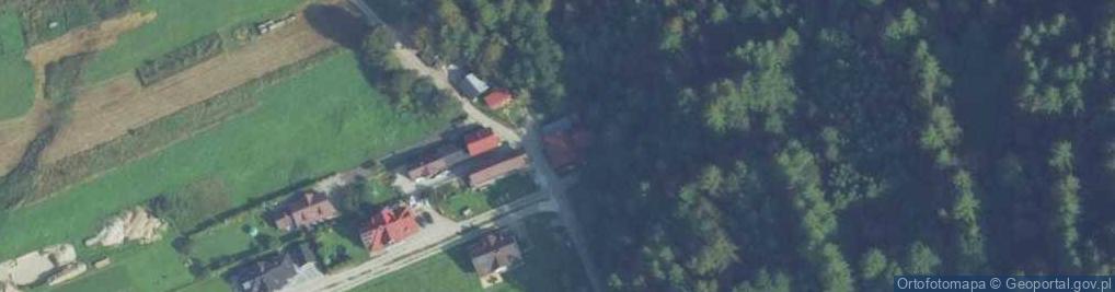 Zdjęcie satelitarne Zofia Homińska
