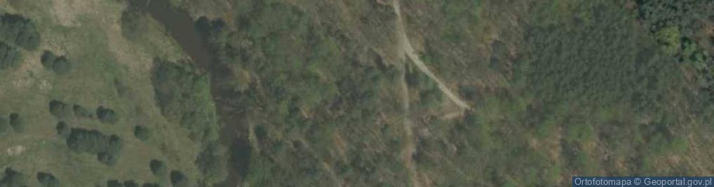 Zdjęcie satelitarne Nadleśnictwo Zawadzkie