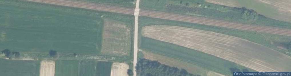 Zdjęcie satelitarne Pole Namiotowe - 35 zł od Osoby