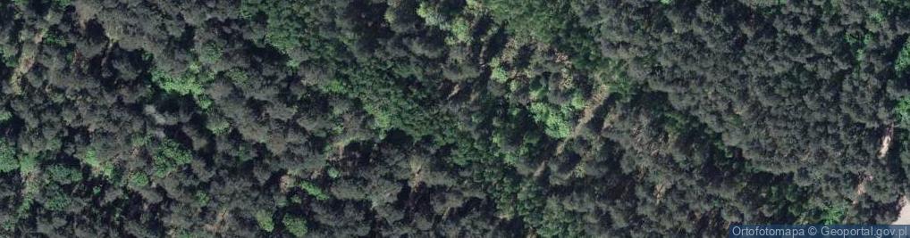 Zdjęcie satelitarne Stanica harcerska