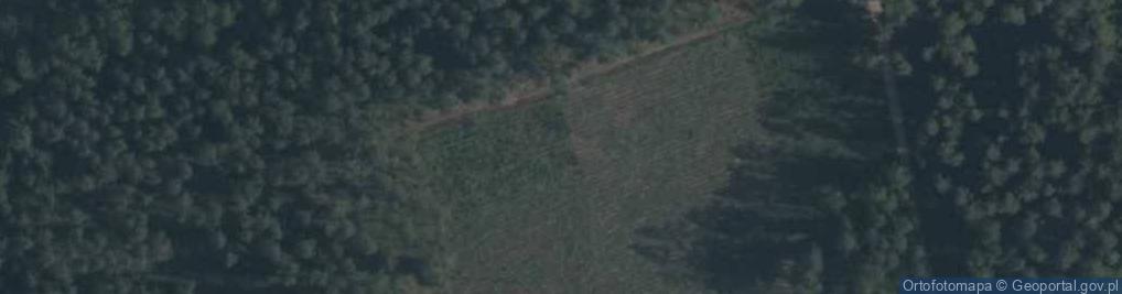 Zdjęcie satelitarne Stanica Wodna PTTK Jabłoń - Jezioro Brzozolasek