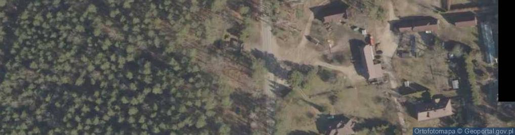 Zdjęcie satelitarne Arboretum im. Powstańcówpoległym w walce o niepodległość