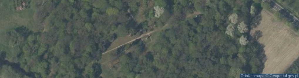 Zdjęcie satelitarne Augustowi w podzięce