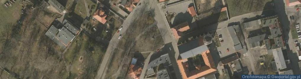 Zdjęcie satelitarne Bitwa pod Lenino symbolem sojuszu ludu polskiego