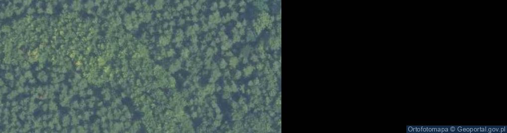 Zdjęcie satelitarne Bratnia Mogiła