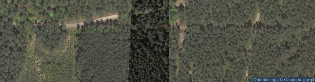 Zdjęcie satelitarne Bratnia Mogiła