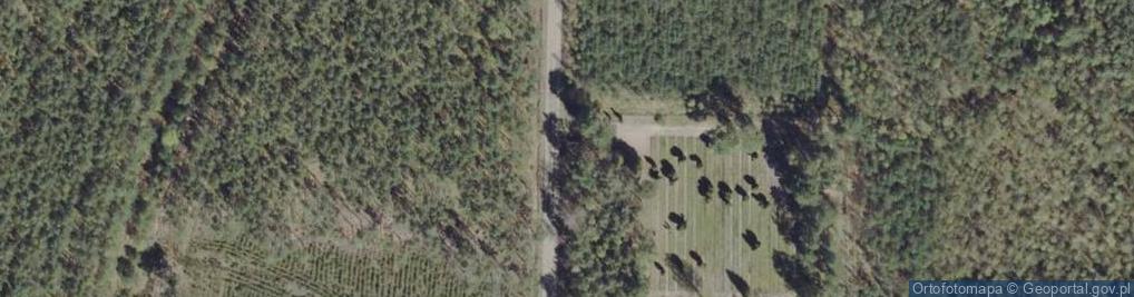 Zdjęcie satelitarne Cmentarz Jeńców Obozu Stalag VIII C w Żaganiu