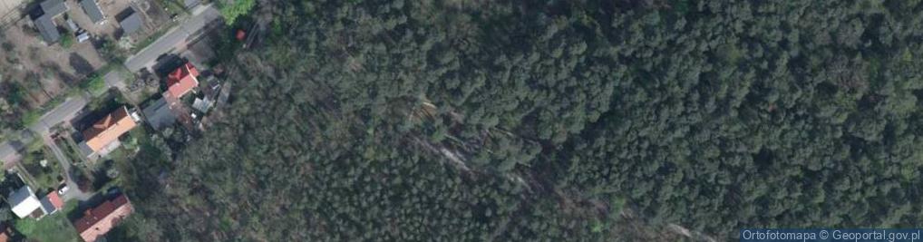 Zdjęcie satelitarne Cześć pamięci ofiar terroru militarnego