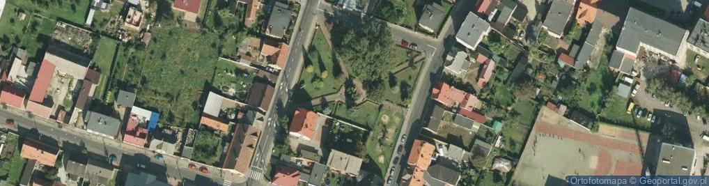 Zdjęcie satelitarne Cześć Poległym Synom Miasta Zduny