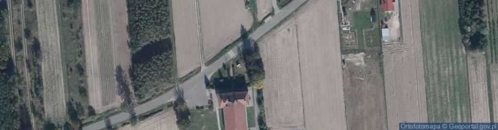 Zdjęcie satelitarne Dąb Pamięci ppor.Kazimierza Łukowskiego zamordowanego przez NKW