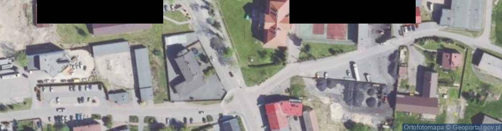 Zdjęcie satelitarne Dąb Papieski z Wadowic, posadzono w Kochanowicach 12.05.2007