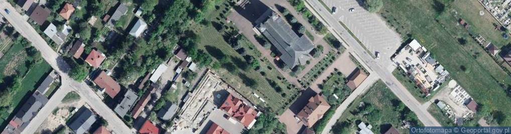 Zdjęcie satelitarne Dąb Papieski