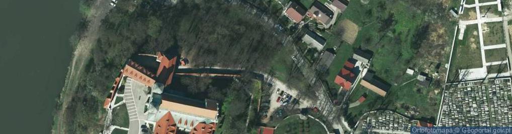 Zdjęcie satelitarne Dąb Wolności