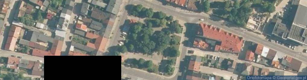 Zdjęcie satelitarne Figura św. Floriana