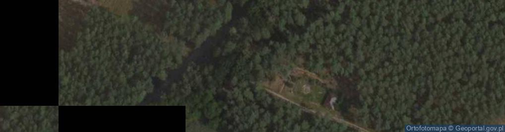 Zdjęcie satelitarne Kamień Pielgrzyma