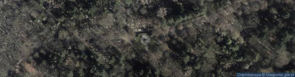 Zdjęcie satelitarne Krzyż Katynia