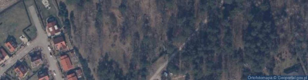 Zdjęcie satelitarne lapidarium