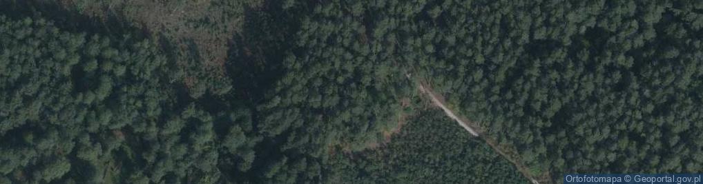 Zdjęcie satelitarne Leśnikom Patriotom