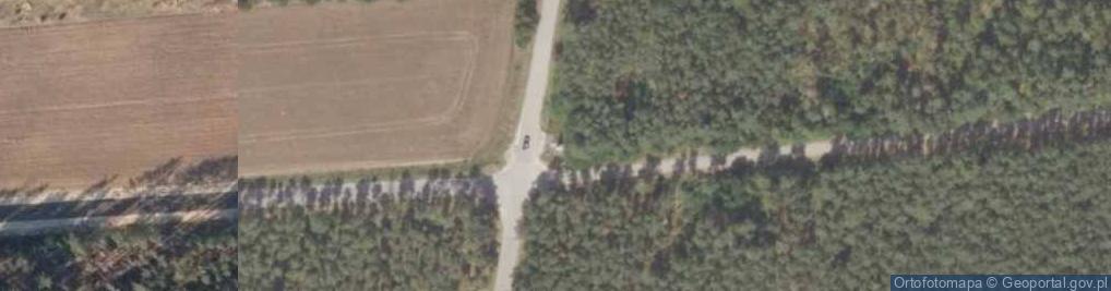 Zdjęcie satelitarne Miejsce bitwy z okresu powstania styczniowego