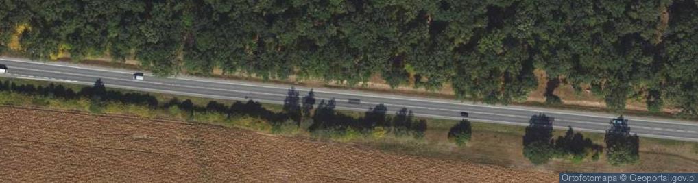 Zdjęcie satelitarne Miejsce pamięci narodowej Las Karnkowski