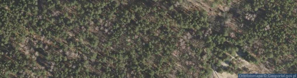 Zdjęcie satelitarne Miejsce straceń 1942r.