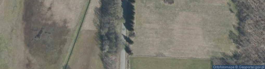 Zdjęcie satelitarne Miejsce straceń ludności wsi Rostki i okolic wymordowanej przez