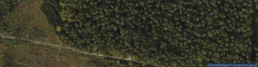 Zdjęcie satelitarne Mogiła Niewinnych Ofiar Żydowskich z Powiatu Konińskiego Pomord