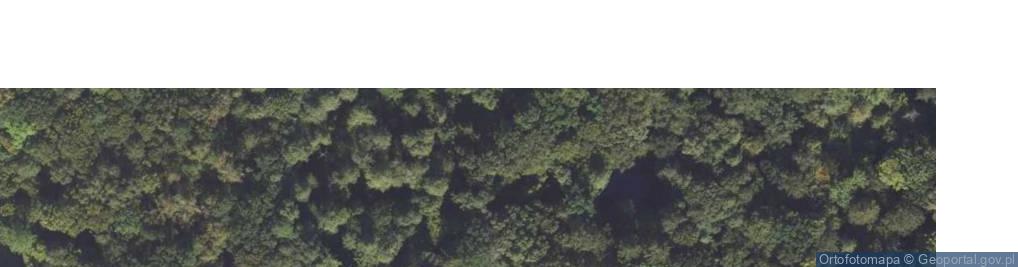 Zdjęcie satelitarne Mogiła