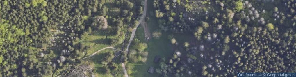 Zdjęcie satelitarne Mogiła