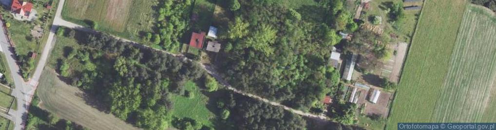 Zdjęcie satelitarne Mogiła