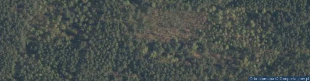 Zdjęcie satelitarne Mogiła