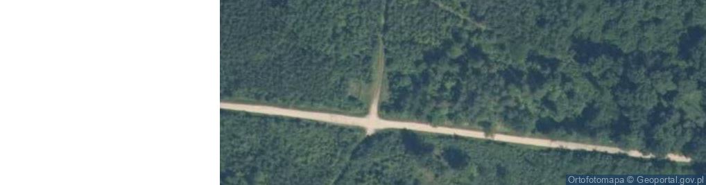 Zdjęcie satelitarne Mogiła