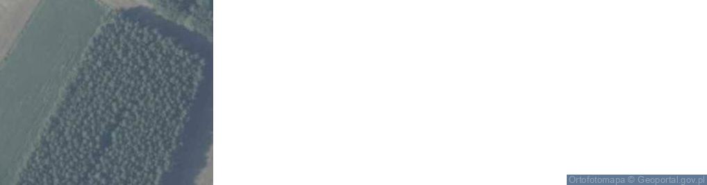 Zdjęcie satelitarne Mogiła