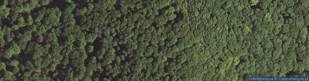 Zdjęcie satelitarne Mogiła