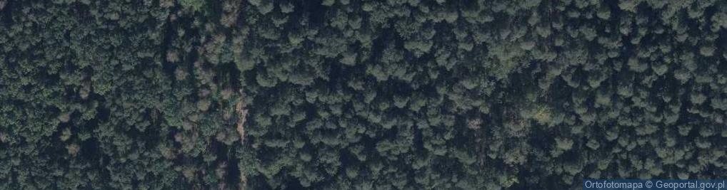 Zdjęcie satelitarne Mogiła