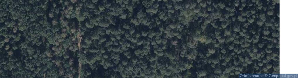 Zdjęcie satelitarne Mogiła