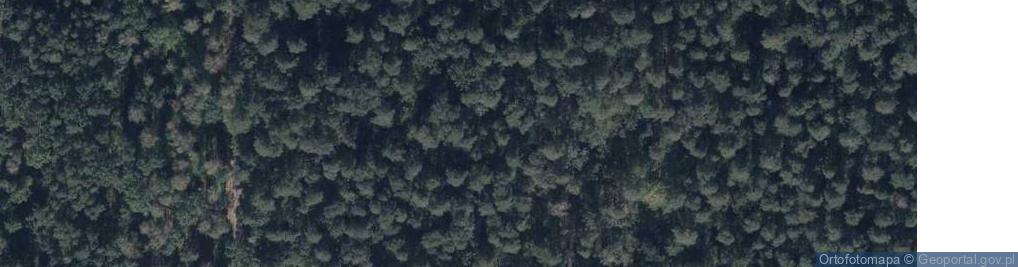 Zdjęcie satelitarne Mogiła