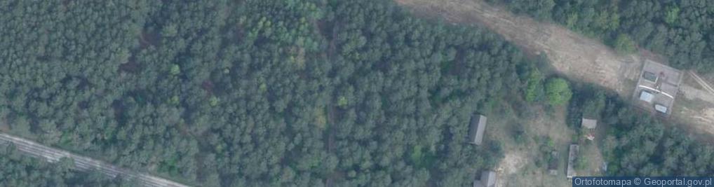 Zdjęcie satelitarne Mogiła