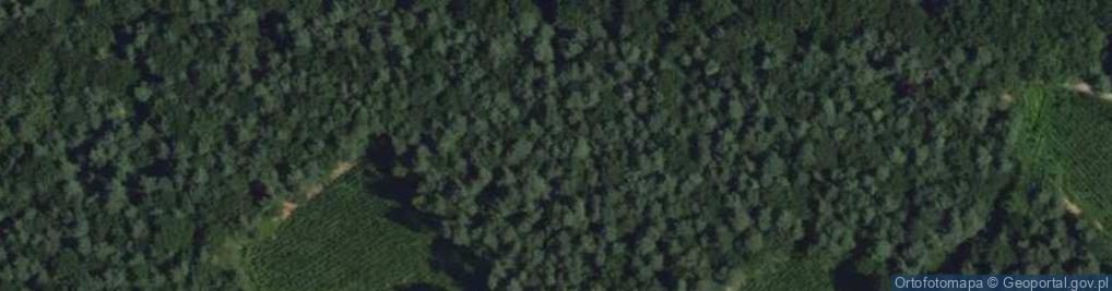 Zdjęcie satelitarne Obelisk ku czci ofiar I wojny światowej z 1918 roku oraz ku czc