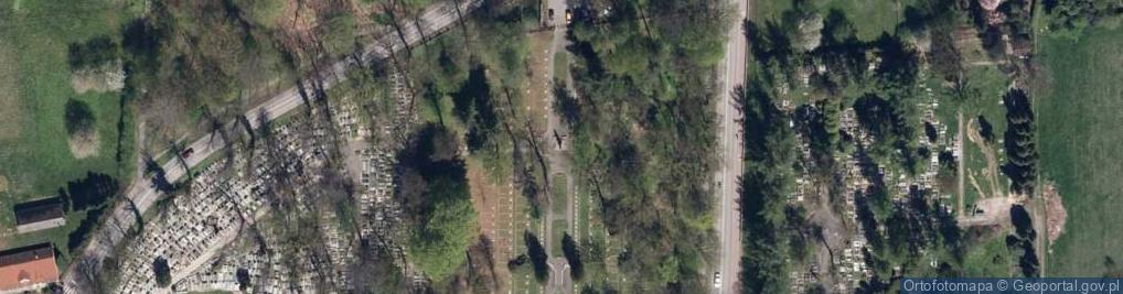 Zdjęcie satelitarne Obelisk