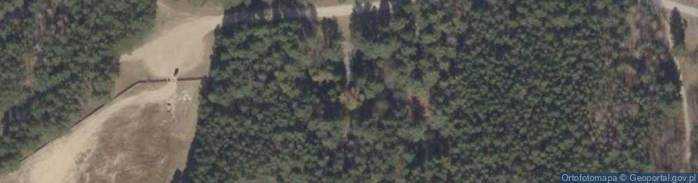Zdjęcie satelitarne Ofiarom faszyzmu