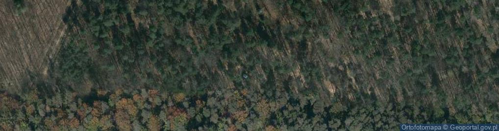 Zdjęcie satelitarne Ofiarom Zbrodni NKWD
