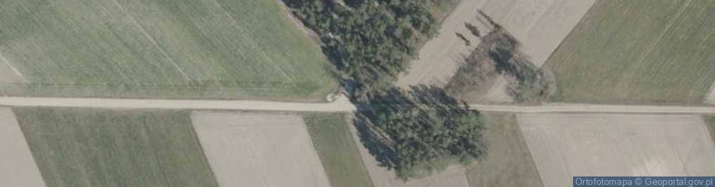 Zdjęcie satelitarne Pamięci 42 ofiar pacyfikacji wsi Nieławice dokonanej przez hitl