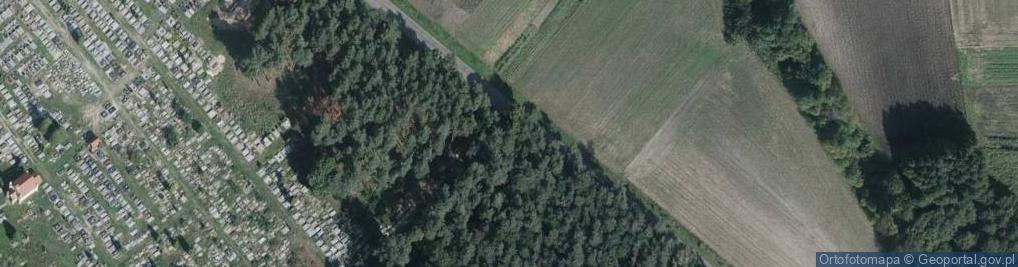 Zdjęcie satelitarne Pamięci ZWM-owców poległych do 1 V 1947 r. w walce o utrzymanie