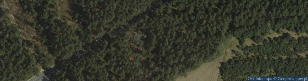Zdjęcie satelitarne Partyzantom Poległych w Czasie II Wojny Światowej