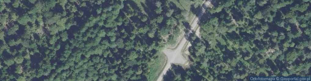 Zdjęcie satelitarne Patriotom z 1863 i 1943-1945r.