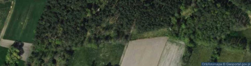 Zdjęcie satelitarne Polakom pomordowanym przez Wehrmacht